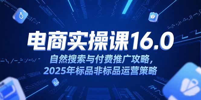 淘宝电商运营课16.0，自然搜索与付费推广攻略，2025年标品非标品运营策略-网创资源站