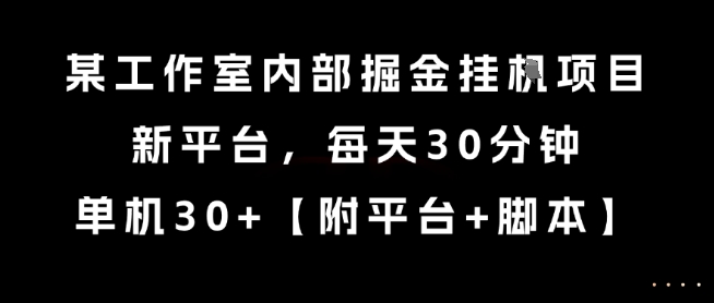 某工作室内部掘金挂G项目，新平台，每天30分钟，单机30+【揭秘】-网创资源站