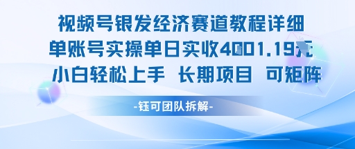 视频号银发经济赛道单账号实操单日实收1k+，小白轻松上手长期项目-网创资源站