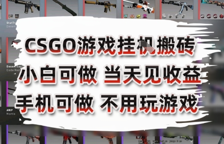 CSGO游戏挂G搬砖，小白纯手机即可操作，不用电脑打游戏，日入3张+，副业网创项目【揭秘】-网创资源站