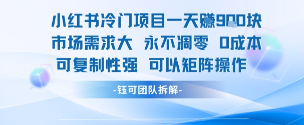 小红书冷门项目一天收益9张，市场需求大，0成本，可复制性强可以矩阵操作-网创资源站