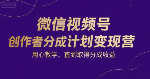 微信视频号创作者分成计划变现营，用心教学，直到取得分成收益-网创资源站