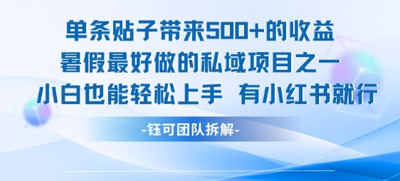 单条贴子带来5张的收益，暑假最好做的私域项目之一，小白也能轻松上手，有小红书就行-网创资源站