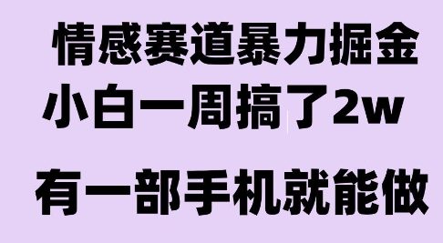 情感暴力掘金项目，新人操作一周挣了2W，长期稳定小白可做【揭秘】-网创资源站