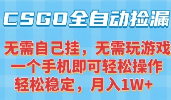 CSGO自动捡漏项目，最新独家玩法，一个手机可操作，新手小白轻松月入1W+，操作简单易上手【揭秘】-网创资源站