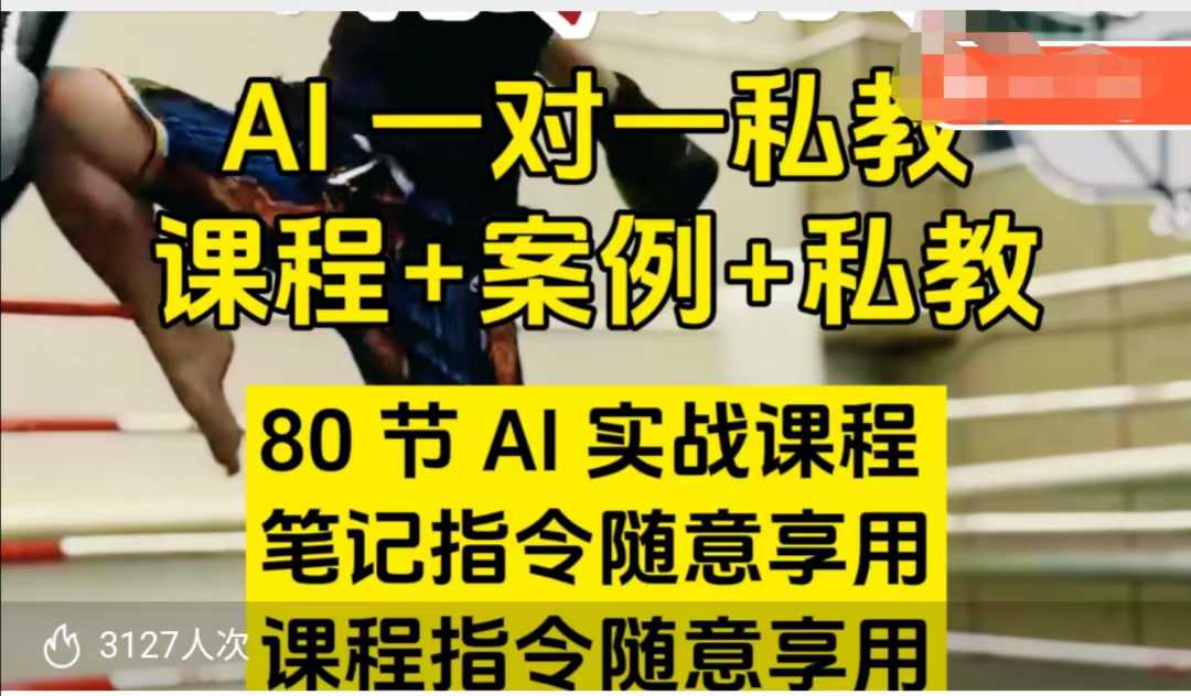 AI指令实战课，课程+案例，80节AI实战课程，笔记指令随意享用，课程指令随意享用(更新7月)-网创资源站