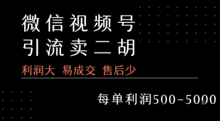 视频号卖二胡教程，利润大 易成交 售后少，一单利润5张+-网创资源站