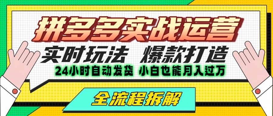 拼多多最新实战运营高投产：长久稳定项目，单店利润一天三位数-网创资源站