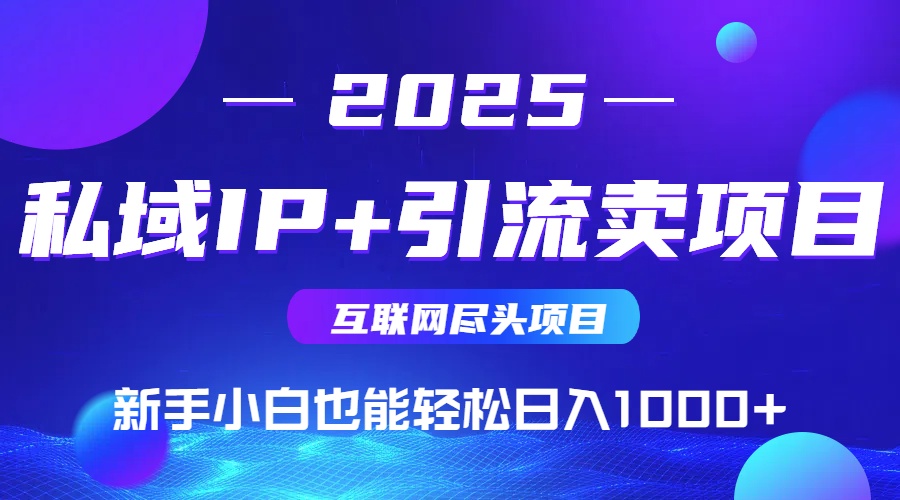 2025网创尽头项目，私域IP+引流，新手小白也能在家日入1000+-网创资源站