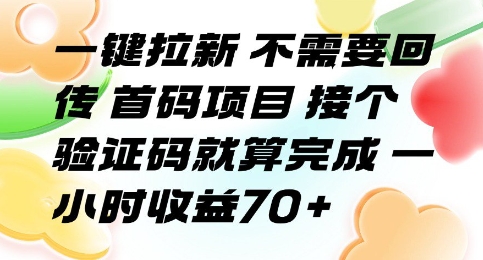 一键拉新 不需要回传 首码项目 接个验证码就算完成 一小时收益70+【揭秘】-网创资源站