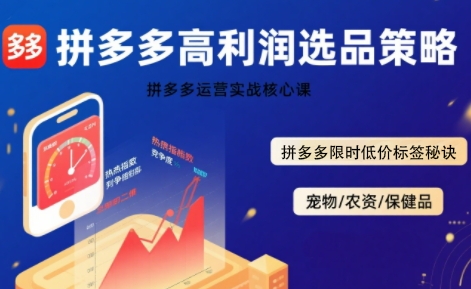 拼多多选品暴利技术实战课，拼多多高利润选品策略，拼多多限时低价标签秘诀-网创资源站