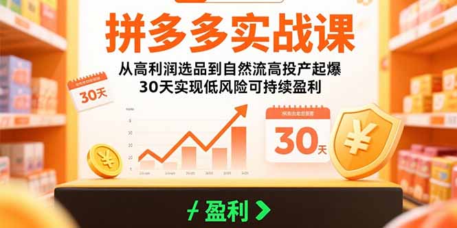 拼多多实战课：从高利润选品到自然流高投产起爆 30天实现低风险可持续盈利-网创资源站