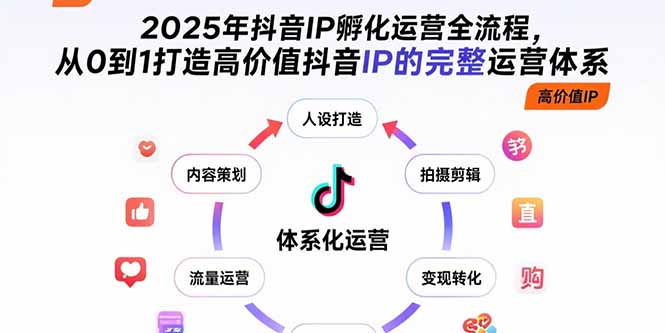 2025年抖音IP孵化运营全流程，从0到1打造高价值抖音IP的完整运营体系-网创资源站