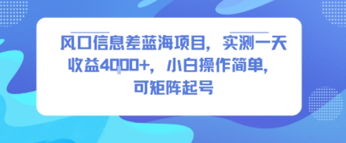 风口信息差蓝海项目，实测一天收益4k+，小白操作简单，可矩阵起号-网创资源站