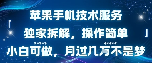 苹果手机技术服务，独家拆解，操作简单，小白可做，月过1W不是梦-网创资源站