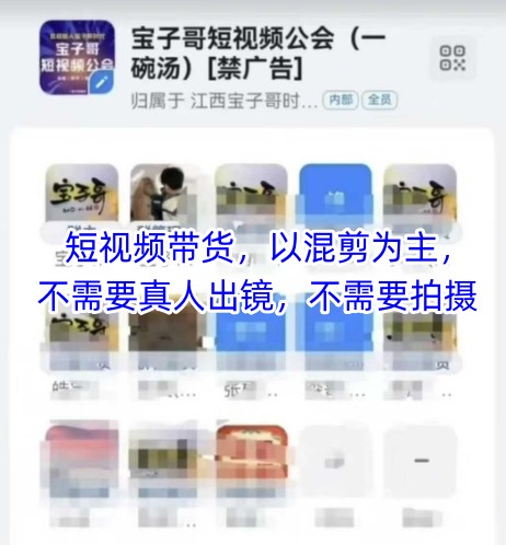 宝子哥头部团队短视频带货，以混剪为主，不需要真人出镜，不需要拍摄【更新8月】-网创资源站