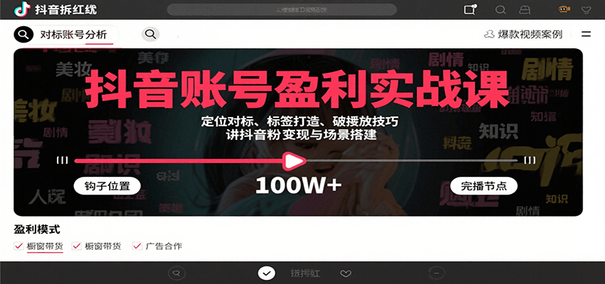 抖音账号盈利实战课，定位对标、标签打造、破播放技巧，讲涨粉变现与场景搭建-网创资源站