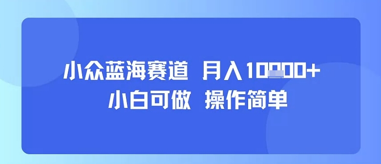 小众蓝海赛道，小白可做，操作简单，每天30分钟，月入1W+-网创资源站