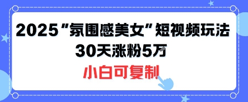 不露脸也能火！2025“氛围感美女”短视频玩法，30天涨粉5W小白可复制-网创资源站