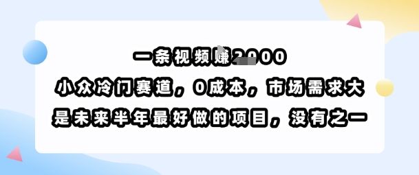 一条视频挣1k，小众冷门赛道，0成本，市场需求大，是未来半年最好做的项目，没有之一-网创资源站