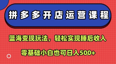 拼多多开店运营课程：蓝海变现玩法，轻松实现睡后收入，零基础小白也可日入5张-网创资源站