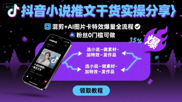 抖音小说推文干货实操分享，混剪+AI图片卡特效爆量全流程，0粉丝0门槛可做-网创资源站