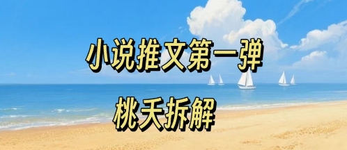 小说推文项目操作全流程第一弹，0粉就能做，门槛低非常适合新手-网创资源站