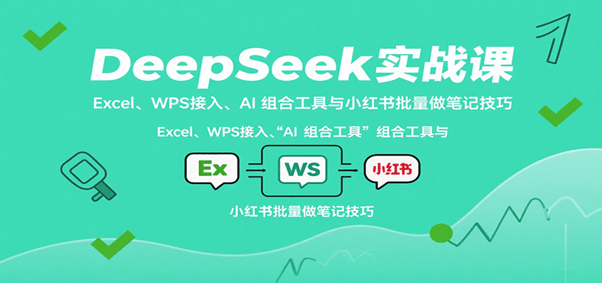 DeepSeek实战课：Excel、WPS接入、AI 组合工具与小红书批量做笔记技巧-网创资源站