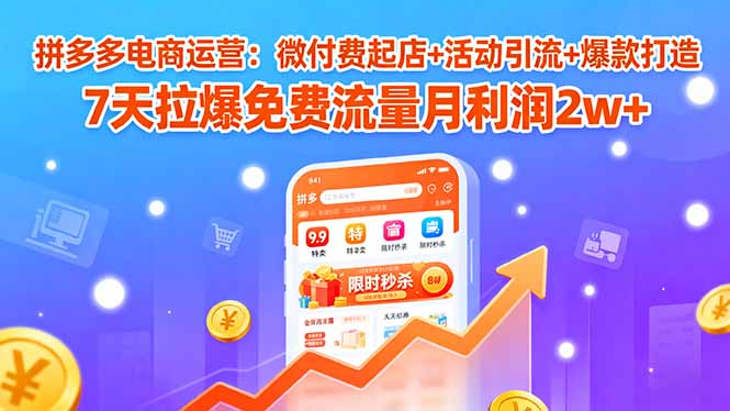 拼多多电商运营：微付费起店+活动引流+爆款打造 7天拉爆免费流量月利润2w+-网创资源站