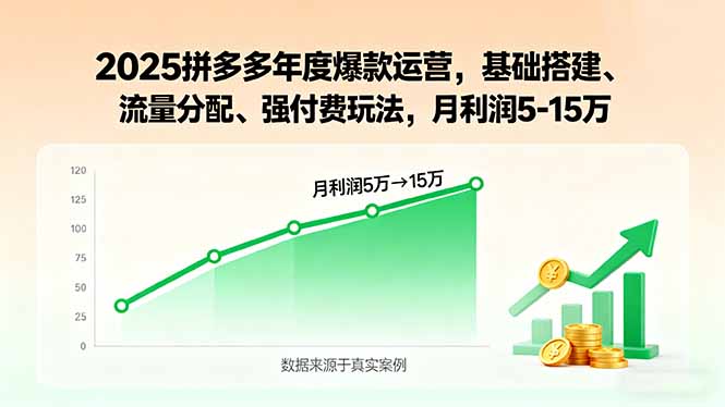 2025拼多多年度爆款运营，基础搭建、流量分配、强付费玩法，月利润5-15万-网创资源站
