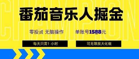 番茄音乐人掘金，单账号最高可撸1k+，可无限矩阵去做，零投入-网创资源站