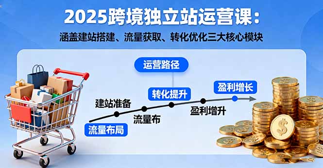 2025跨境独立站运营课：涵盖建站搭建、流量获取、转化优化三大核心模块-网创资源站