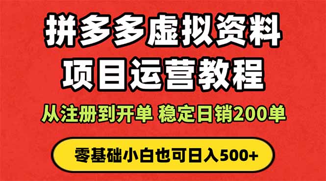 拼多多开店运营课程： 蓝海变现玩法，轻松实现睡后收入 零基础小白也可…-网创资源站