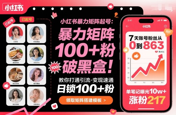 小红书暴力矩阵起号，教你打通引流-变现速通，日锁100+粉，破流量黑盒-网创资源站