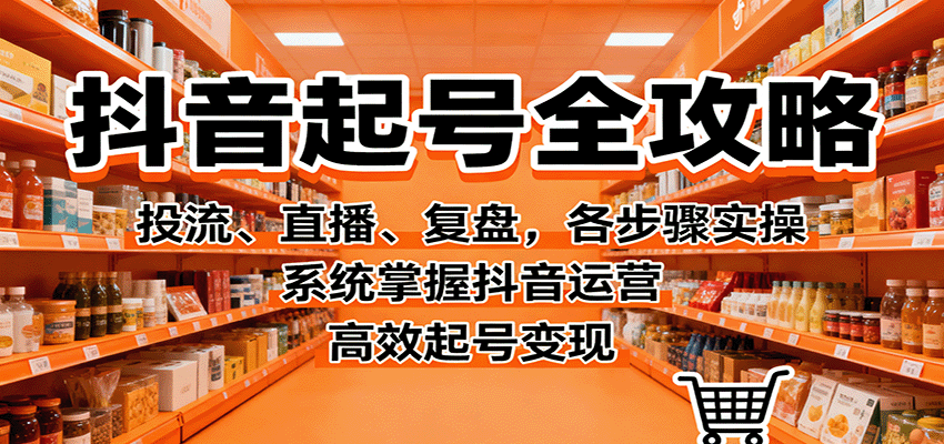 抖音起号全攻略，投流、直播、复盘，各步骤实操，系统掌握抖音运营，高效起号变现-网创资源站