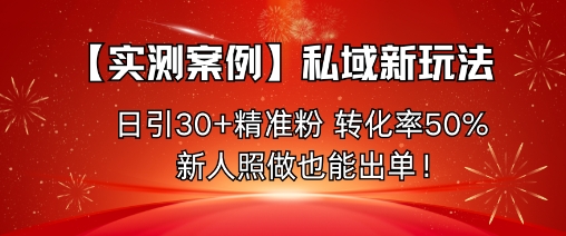 【实测案例】私域新玩法，日引30+精准粉，转化率50%，新人照做也能出单！-网创资源站