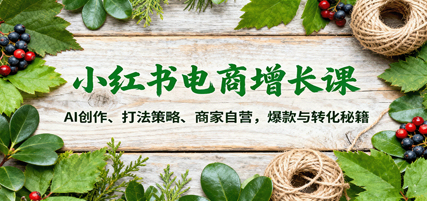 小红书电商增长课：AI创作、打法策略、商家自营，爆款与转化秘籍-网创资源站
