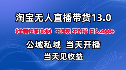 淘宝无人直播13.0，公域私域技术，不封号，不违规布局下半年旺季赛道，日入1K+(独家技术)【揭秘】-网创资源站