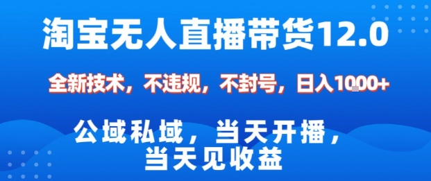 淘宝无人直播12.0，公域私域技术，不封号，不违规布局双十一流量风口，日入1k(独家技术)【揭秘】-网创资源站