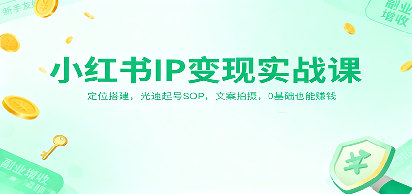 小红书IP变现实战课：定位搭建，光速起号SOP，文案拍摄，0基础也能赚钱-网创资源站