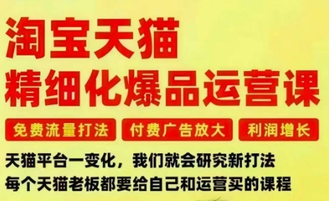 淘宝天猫精细化爆品运营课，免费流量打法-付费广告放大-利润增长-三大核心痛点，一次全部解决-网创资源站