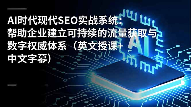 AI时代现代SEO实战系统：帮助企业建立可持续的流量获取与数字权威体系(英文授课+中文字幕-网创资源站
