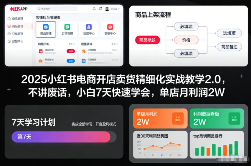 2025小红书电商开店卖货精细化实战教学2.0，不讲废话，小白7天快速学会，单店月利润2W-网创资源站
