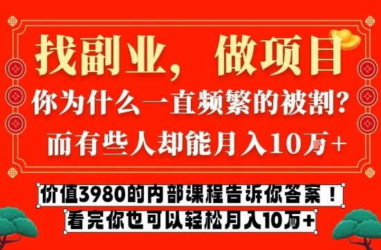 价值3980的网创内部课程，告诉你互联网创业月入10个W的秘密【揭秘】-网创资源站