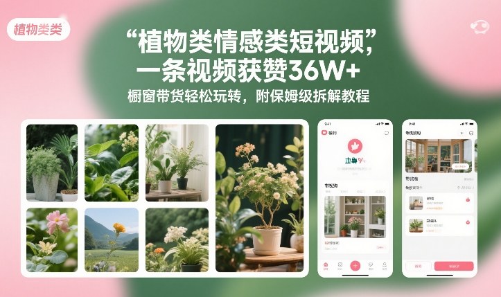 植物类情感类短视频，一条视频获赞36W+，橱窗带货轻松玩转，附保姆级拆解教程-网创资源站
