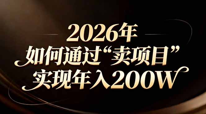 站在2026年的十字路口：一个普通人如何通过卖项目实现年入200万-网创资源站