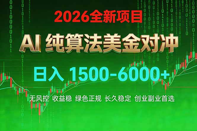 2026 全新美金对冲项目，不套平台赠金，不封号，纯算法对冲，日入 1500-6000+-网创资源站