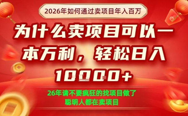 一单净利润1K+，26年想年入100个W，死磕卖项目就够了【揭秘】-网创资源站