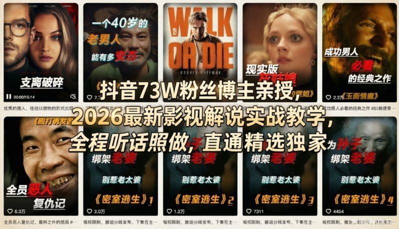 抖音73W粉丝博主亲授，2026最新影视解说实战教学，全程听话照做，直通精选独家-网创资源站
