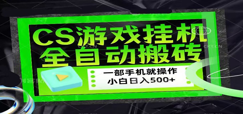 CSGO游戏挂机捡漏搬砖，超稳定的项目，带领1000+小白实现日入500+-网创资源站